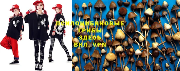 гашик Балахна
