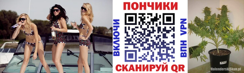 МАРИХУАНА индика  Белореченск 